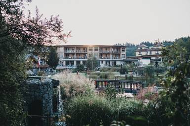 Surroundings at the Molzbachhof in Kirchberg am Wechsel