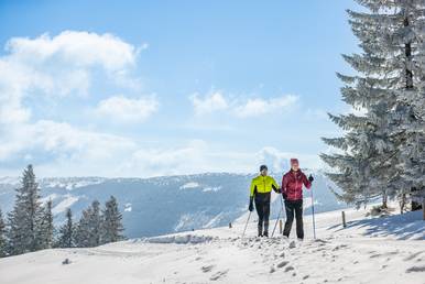 Two cross-country skiers on the panoramic trail on the Wechsel near the Naturhotel Molzbachhof.