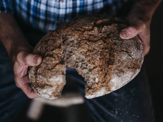 Bread from the Molzbachhof adventure mill in Kirchberg am Wechsel