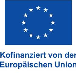 Logo of the European Union with the inscription Co-financed by the European Union.