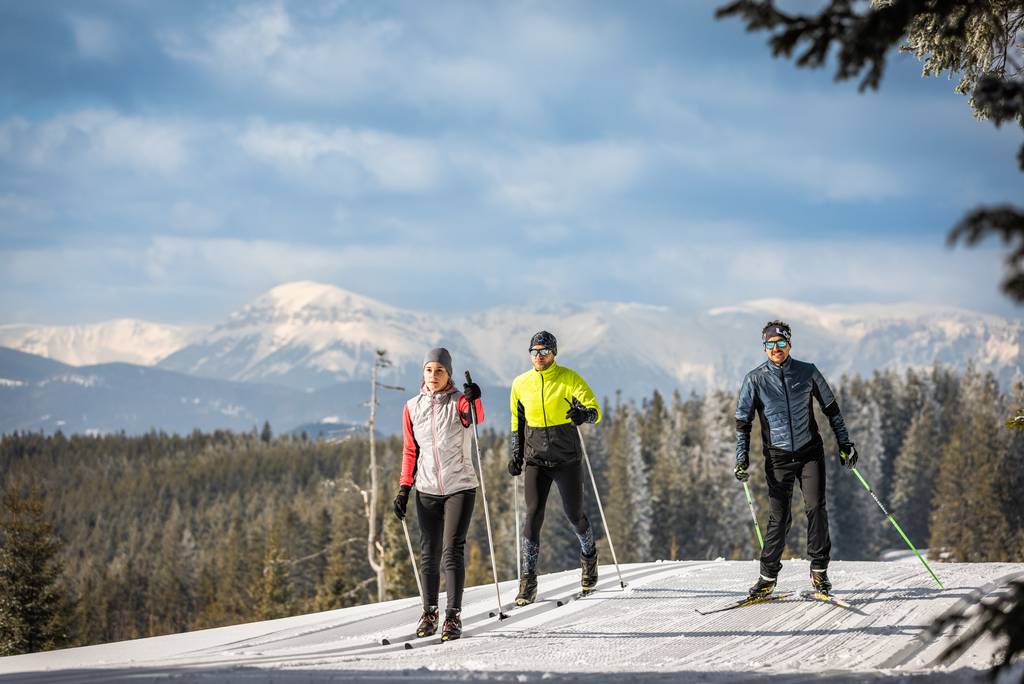 Cross-country skiers on the panoramic trail on the Wechsel near the Naturhotel Molzbachhof.