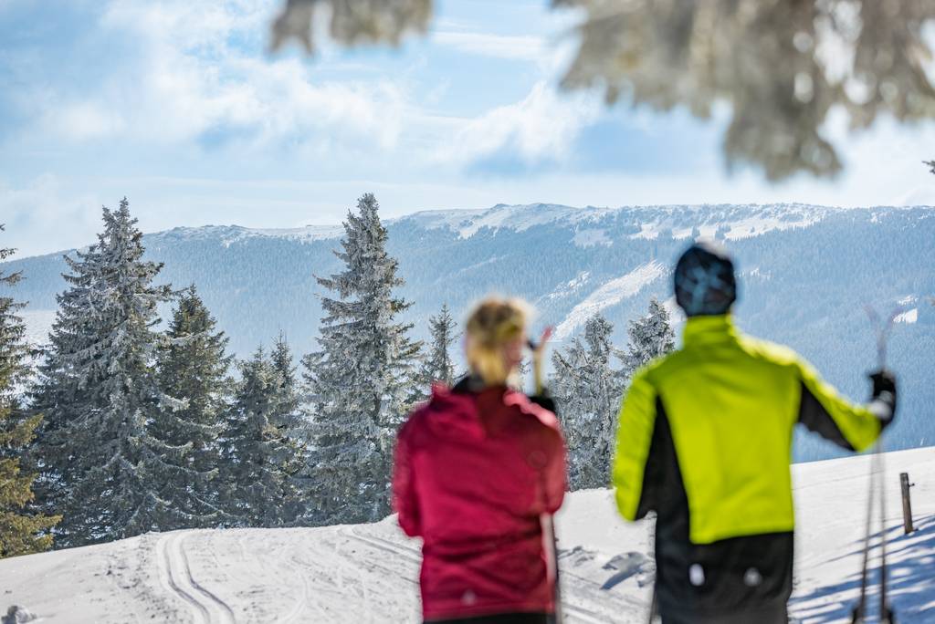 Cross-country skiers on the panoramic trail look out over the mountains on the Wechsel near the Naturhotel Molzbachhof.