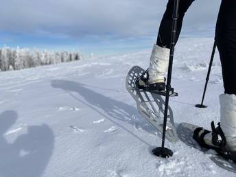 Cross-country skiing in Kirchberg am Wechsel