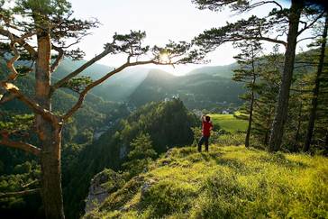 View of the Viennese Alps landscape