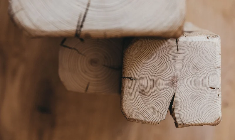 Everything made of wood at the Molzbachhof
