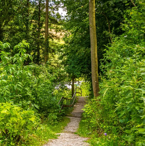 Theme trail in Kirchberg am Wechsel (c) Viennese Alps, Kremsl