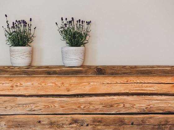 Flowers in the wellness area of the Molzbachhof