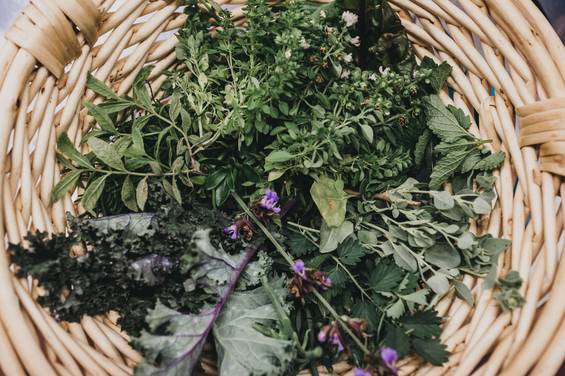 Fresh herbs from the garden at Molzbachhof