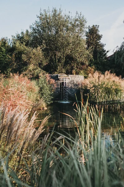 The garden of paradise slowly discolors its leaves