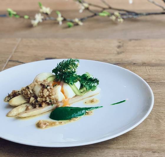 Marchfeld asparagus with organic egg at the Molzbachhof 